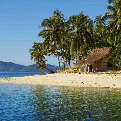 江南体育手机app下载